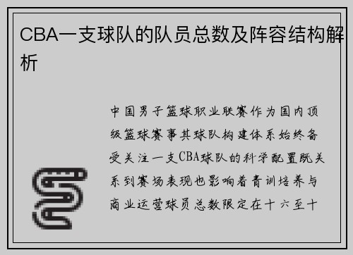 CBA一支球队的队员总数及阵容结构解析